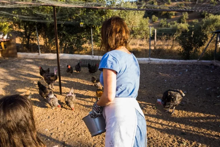 femme seau metal nourriture quel aliment pour faire pondre les poules