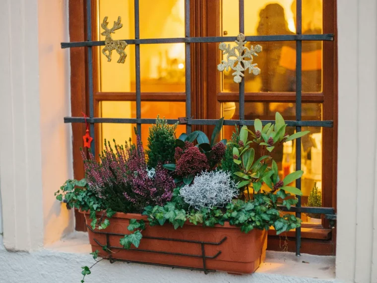 fenetre lumiere interieur figurines noel ornements dores jardiniere suspendue plantes