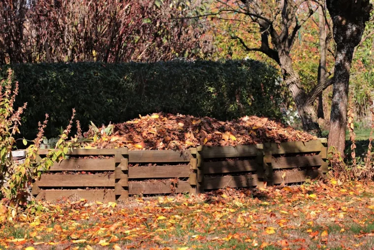 feuilles sechees jardin tas matieres organiques arbres branches