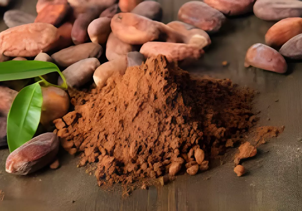 la poudre de cacao avec des feves en arriere plan