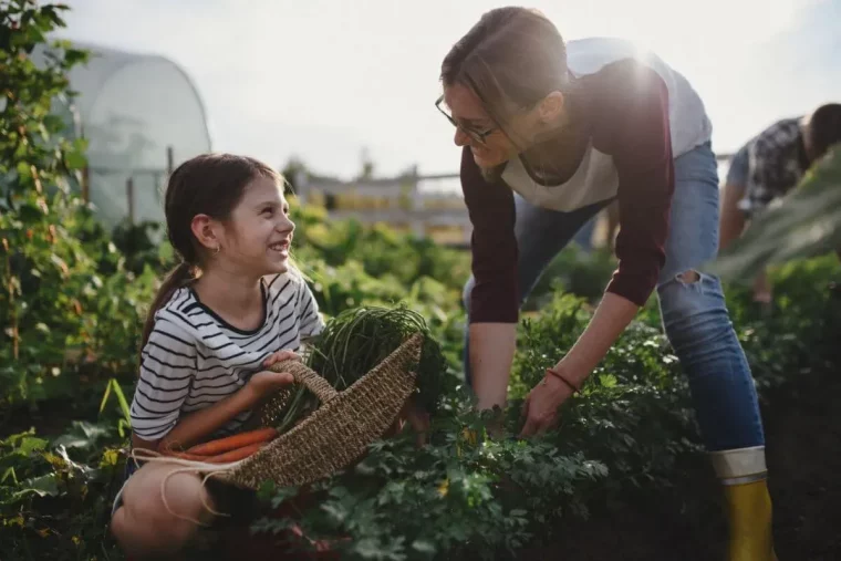 mere et enfant qui recoltent des carottes au potager