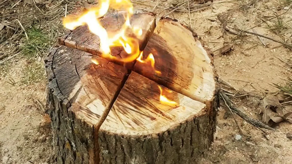 outil pour enlever une souche d'arbre feu surune souche