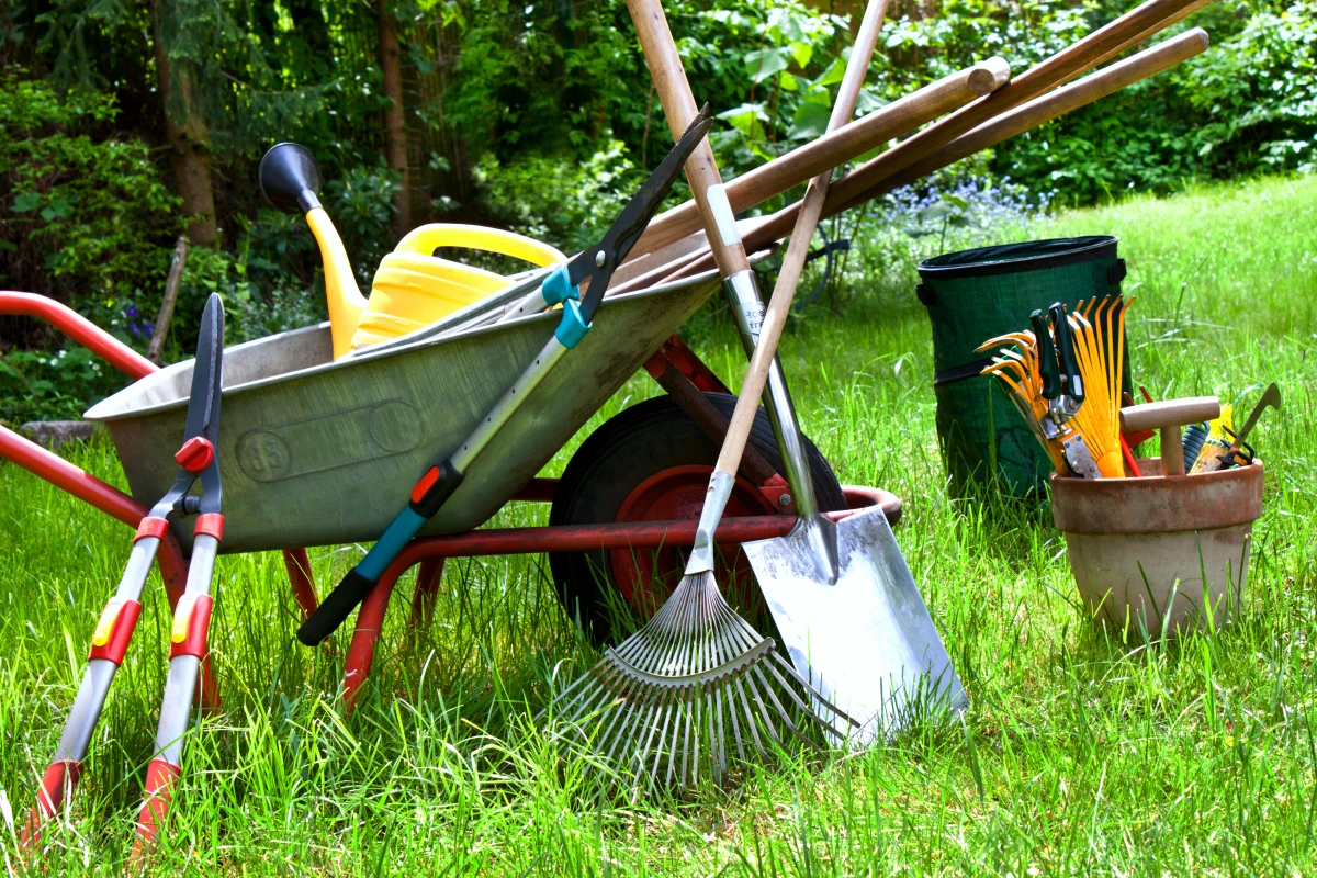 outils de jardinage nettoyage avant l hiver pelouse verte