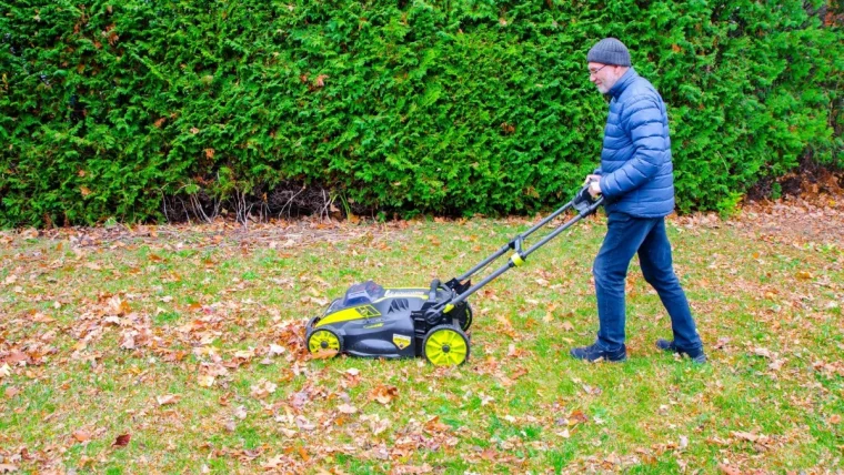 peut on reutiliser les tontes de gazon auu jardin