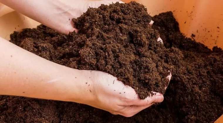 potager en hiver que faire du compost