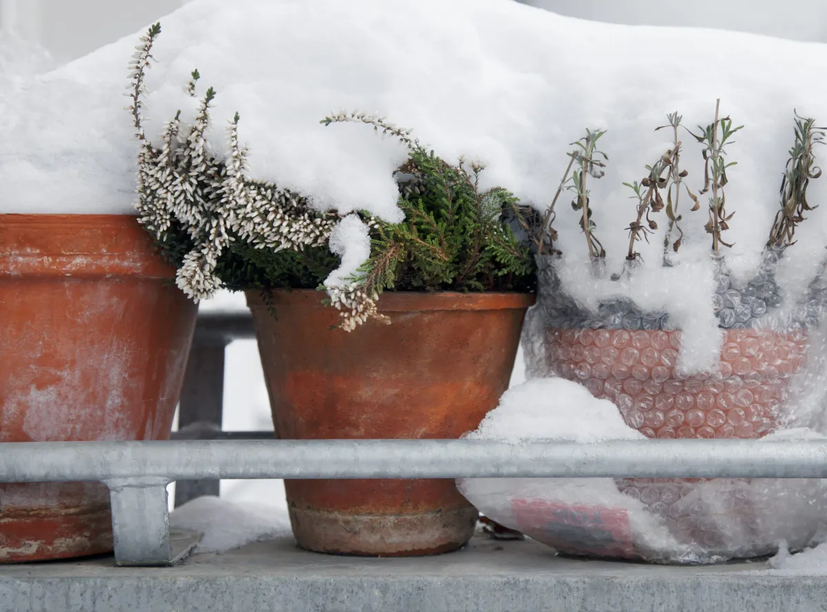 pots terre cuite protection plantes balcon hiver papier bulle couche neige