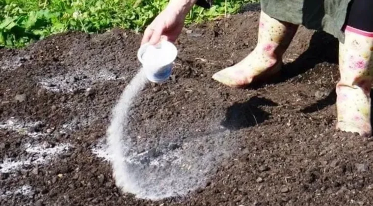 préparer son jardin pour l'hiver permaculture femme auxbottes parseme cendre