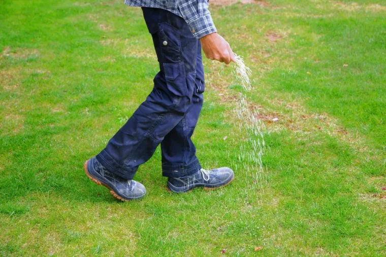 quand ne pas tondre la pelouse homme fertilise gazon