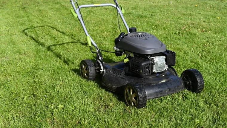 quand tondre la pelouse pour la dernière fois cet automne et comment entretenir la pelouse