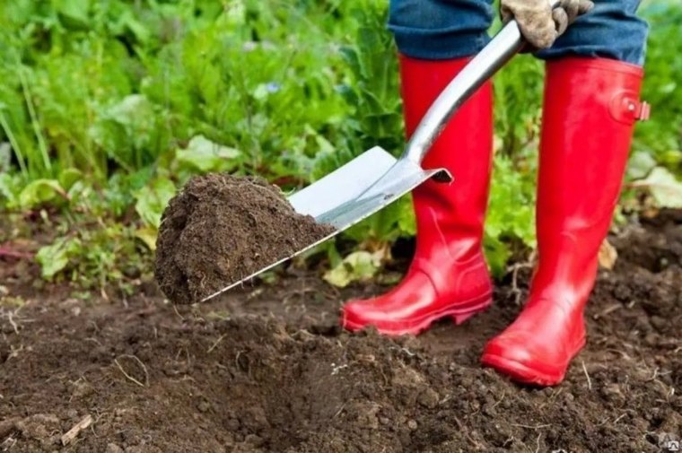 que faire au jardin en novembre permaculture bechage bottes rouges