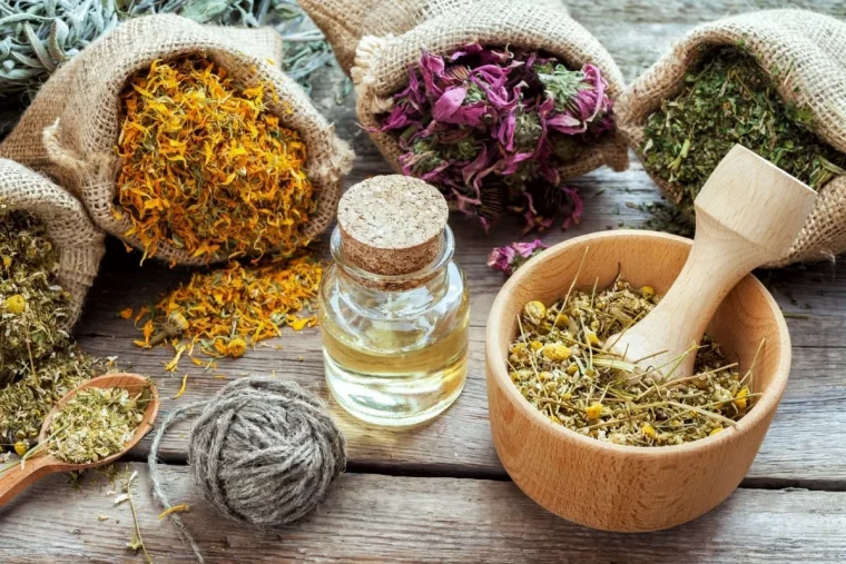 quelles herbes suolagent la toux conseils ded pro