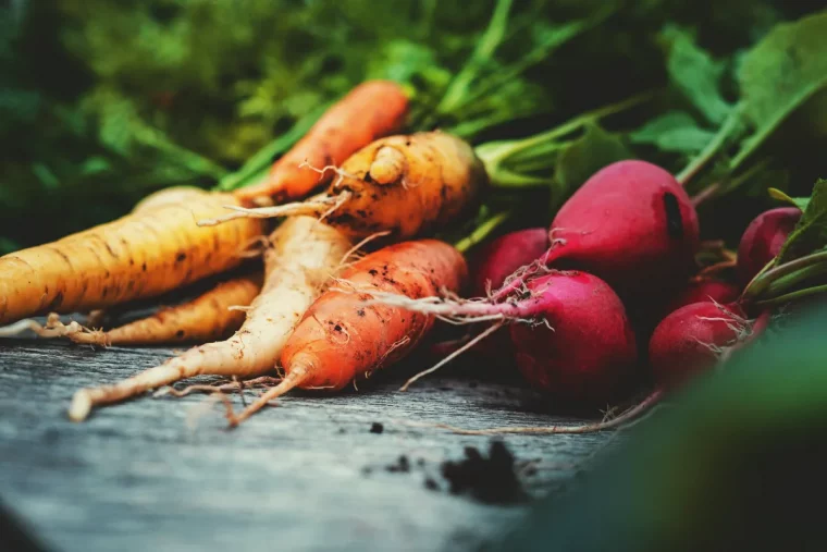 quels légumes peut on conserver dans un silo à légumes idées légumes racines