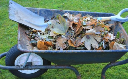 ramassage feuilles mortes brouette outils jardin pelle gazon vert