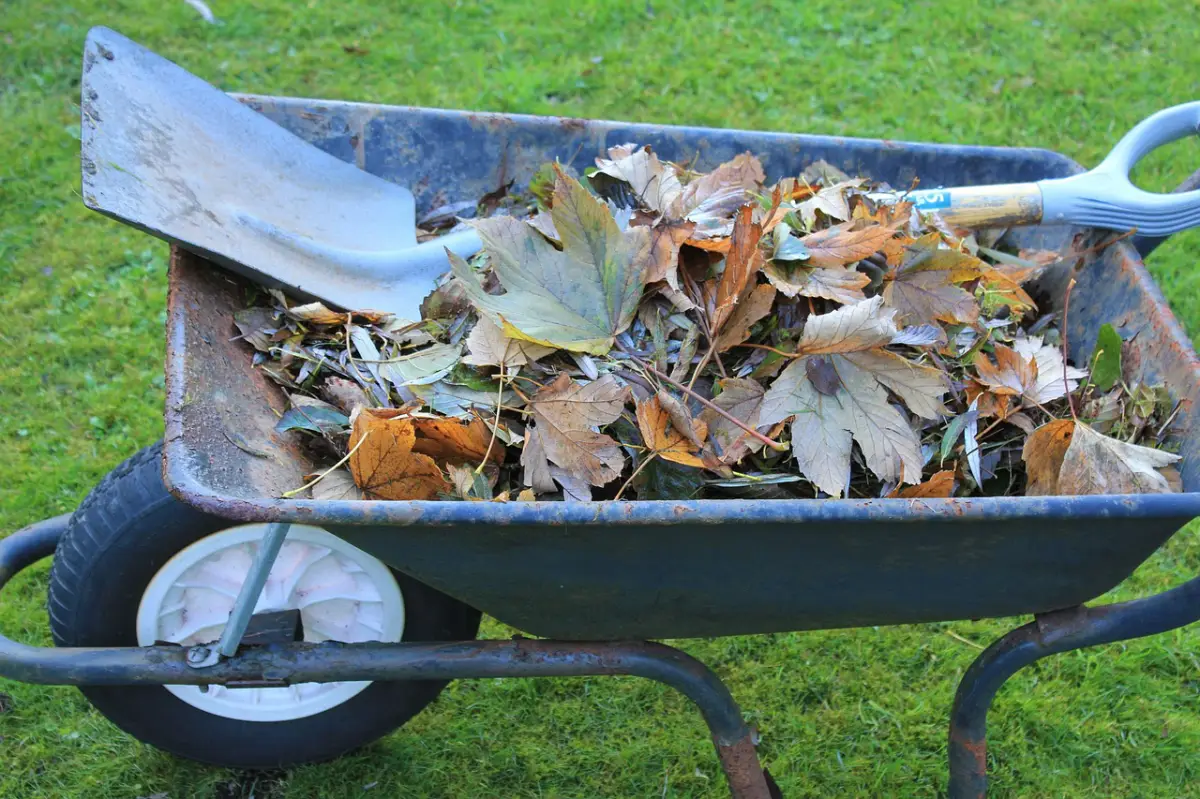 ramassage feuilles mortes brouette outils jardin pelle gazon vert