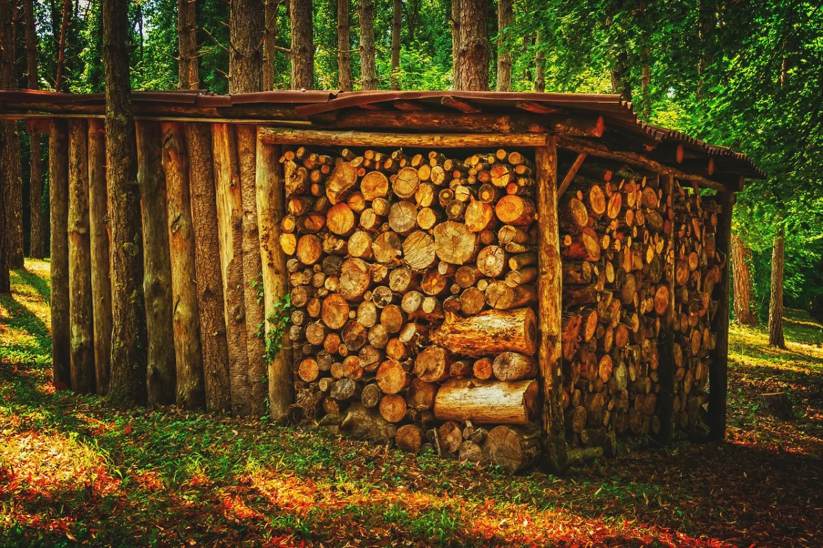stockage bois extérieur sous abri idée rangement originale