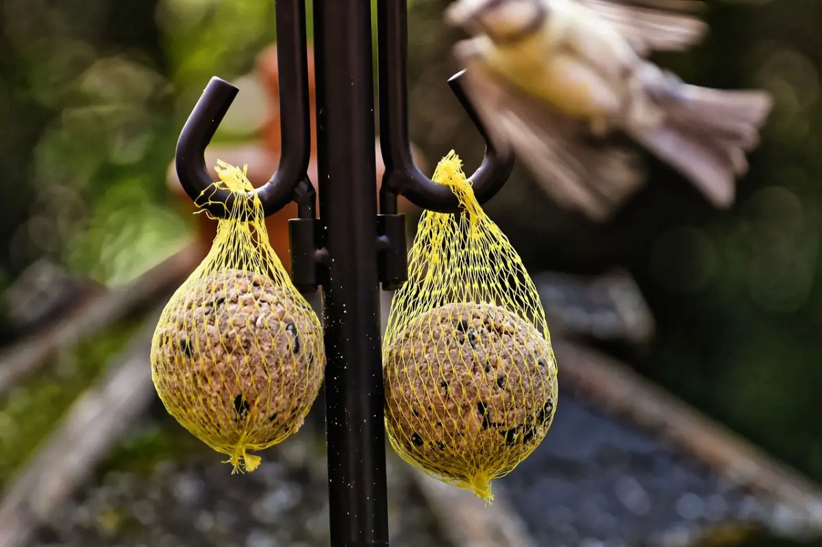suspension en metal crochets boules graines graisse nourriture pour oiseaux