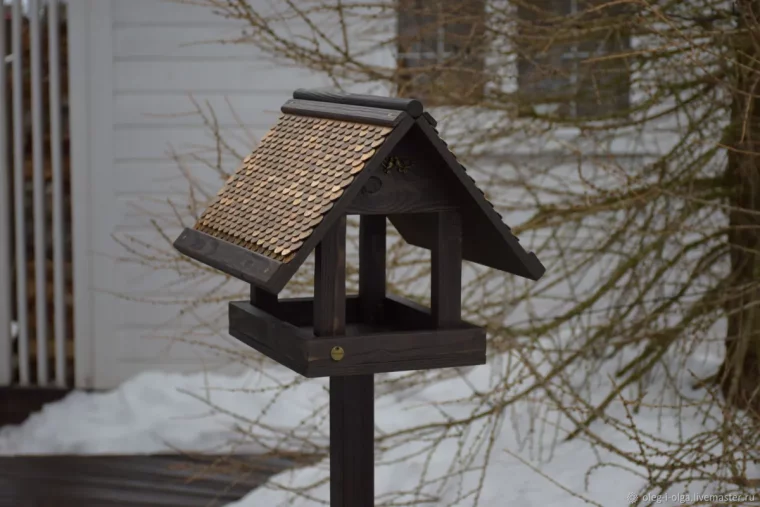 pourquoi attirer les oiseaux dans son jardin maneoire