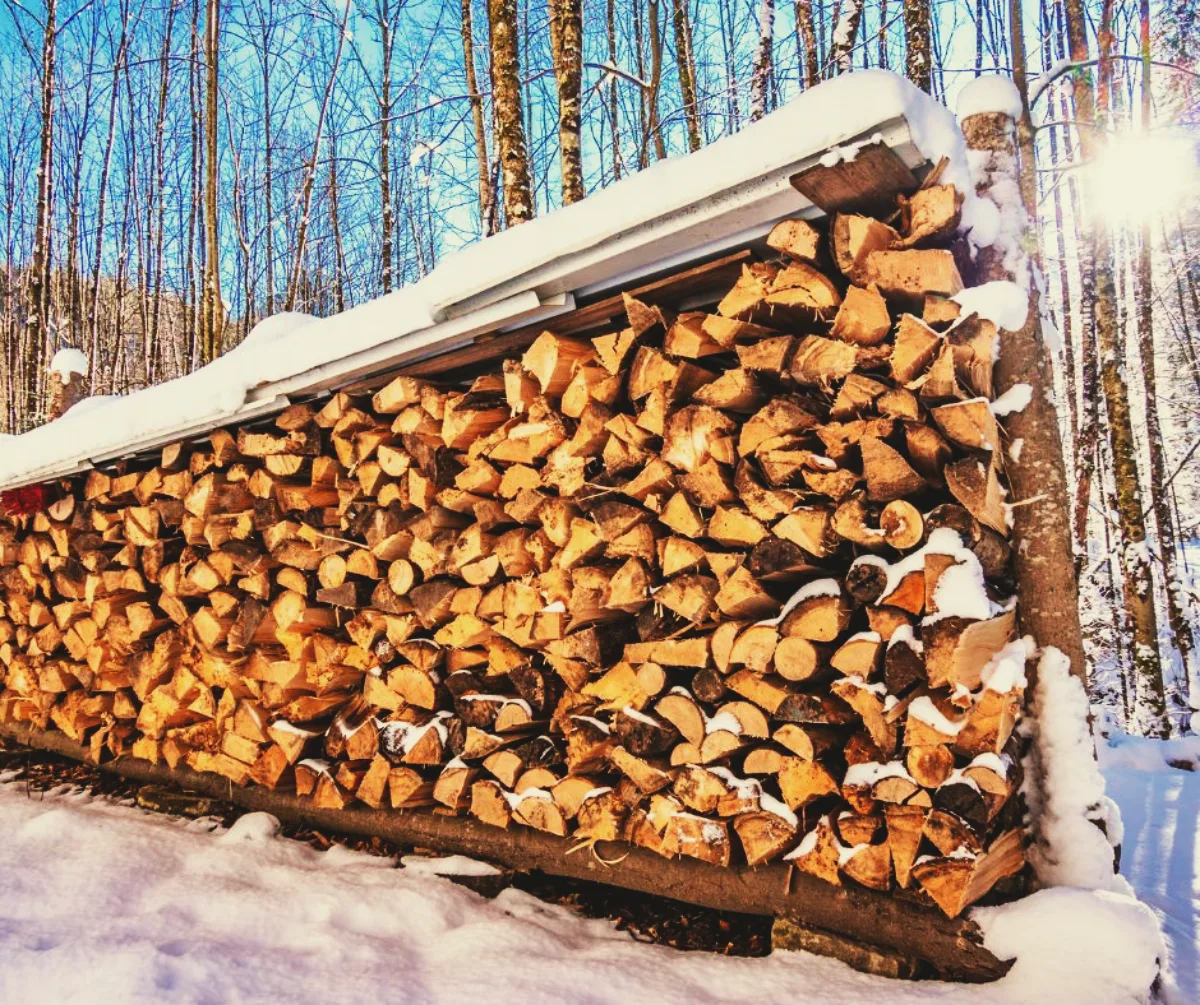 abri bois de chauffage comment faire pour sécher le bois rapidement