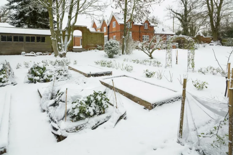 astuces et conseils pour proteger le jardin du froid