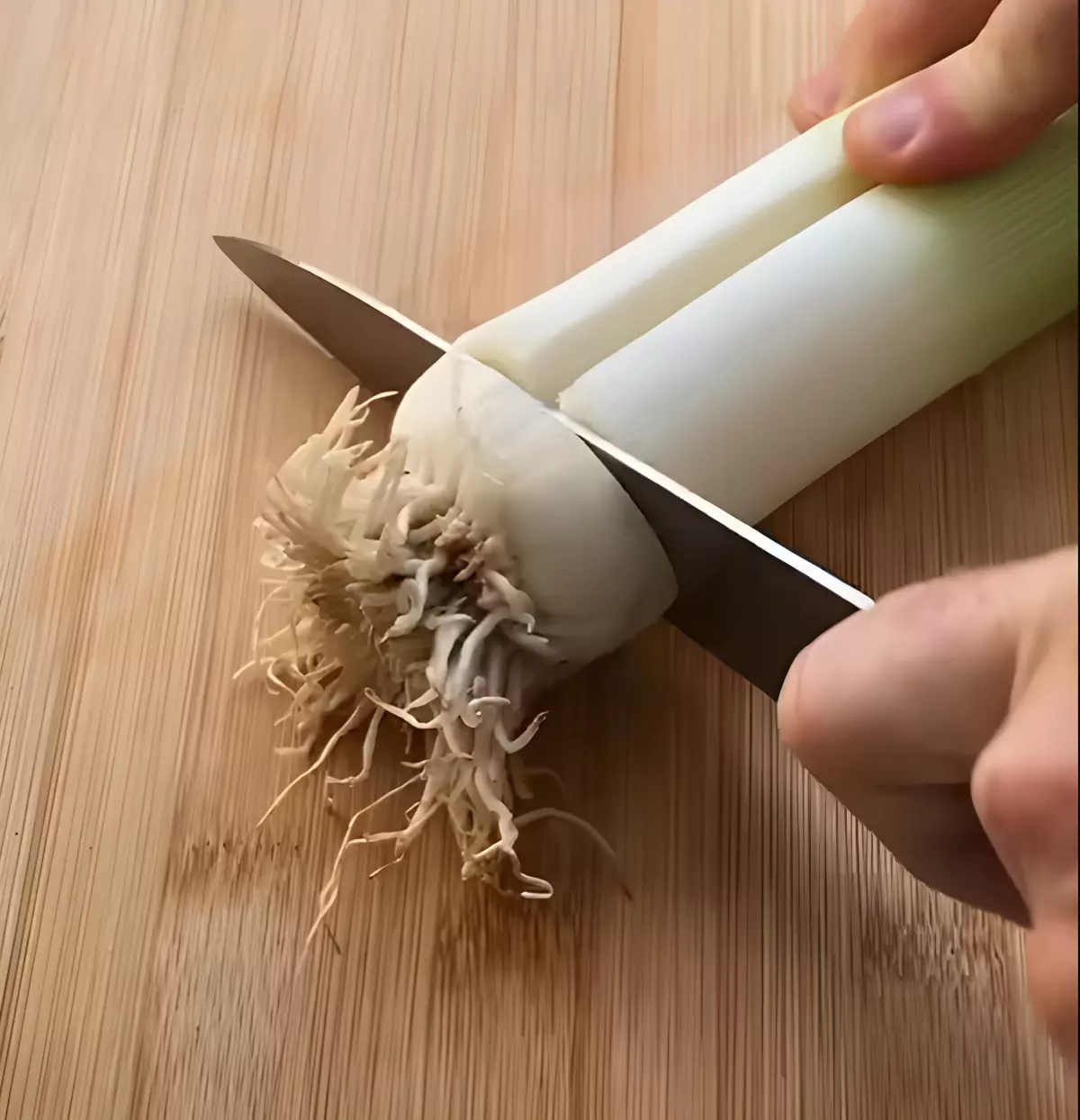 base de poireau avec un couteau enfonce sur une planche en bois