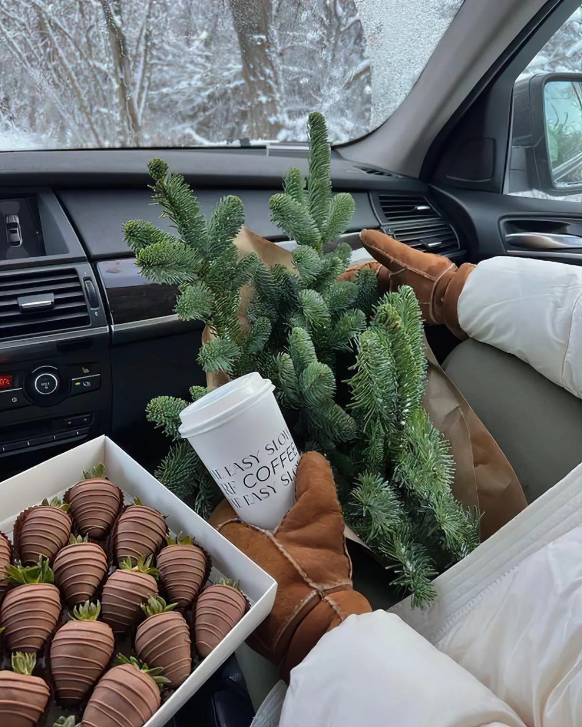 bonbon chocolat cerise boite gants gobelet cafe branches sapin voiture interieur