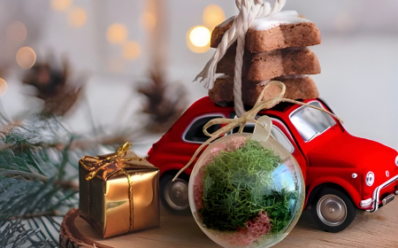 boule transparente avec de la mousse devant un jouet voiture rouge avec trois cookies dessus poses sur une rondelle de bois