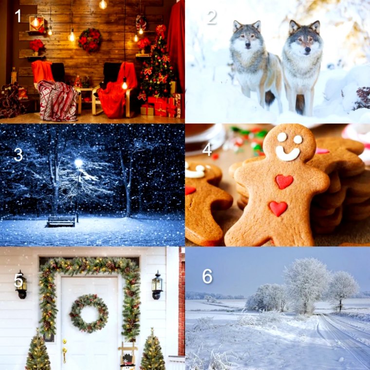 collage d images a choisir pour le mois de decembre 2023 destin