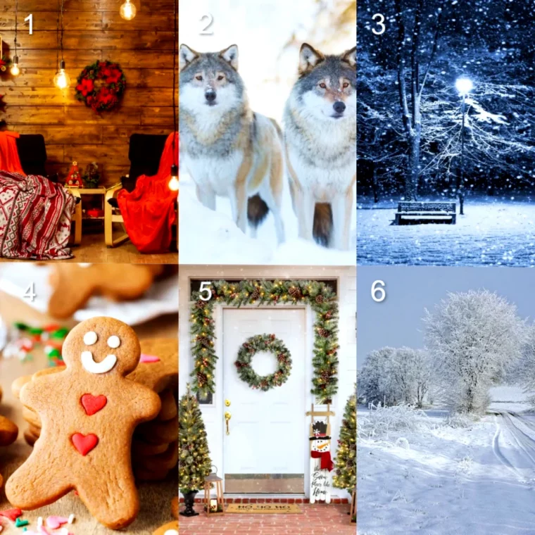 collage d images pour decembre