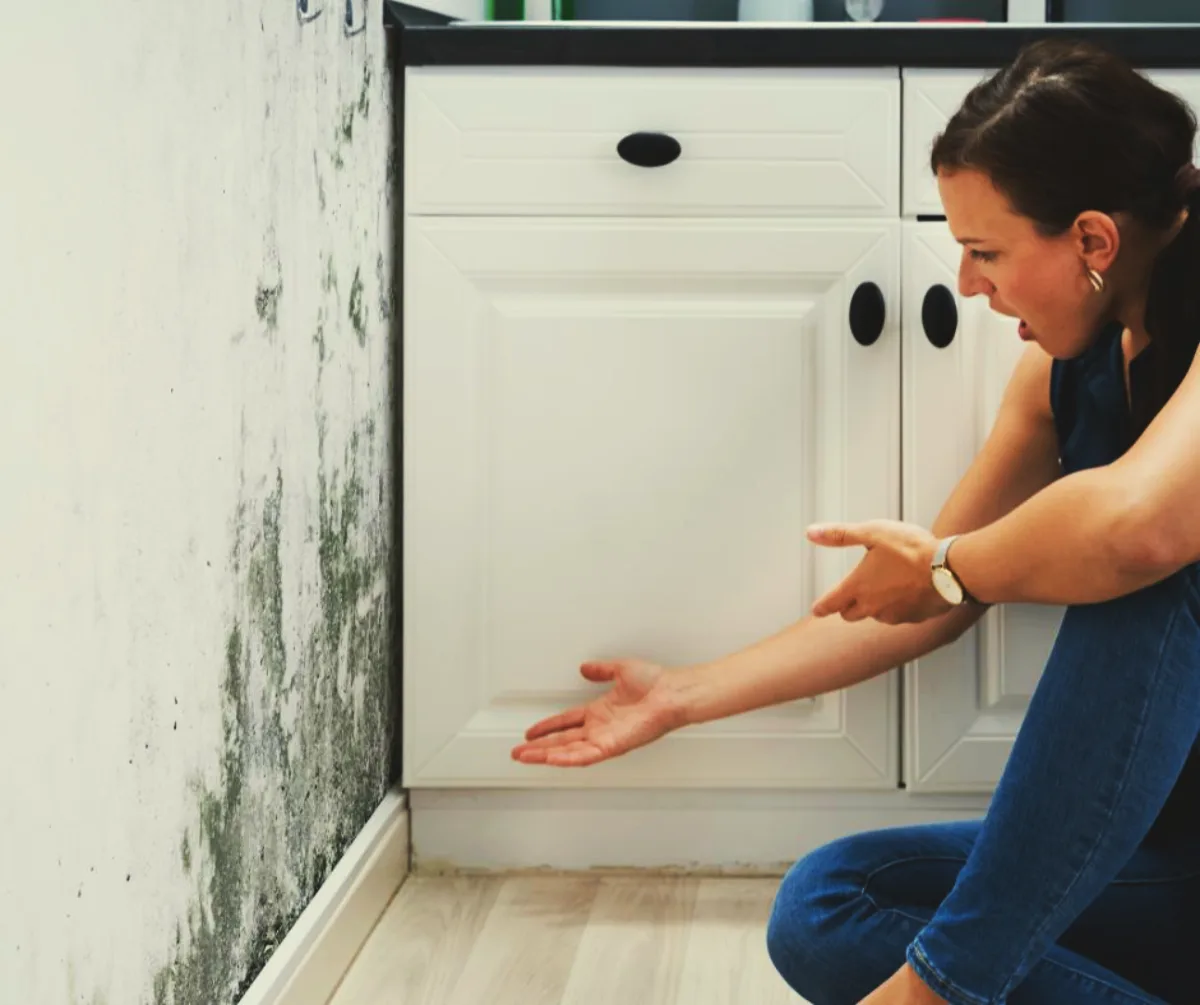 comment enlever les moisissures dans une maison peinture thermique