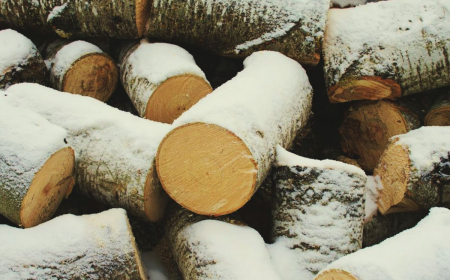 comment faire sécher le bois de chauffage rapidement astuces stockage de bois