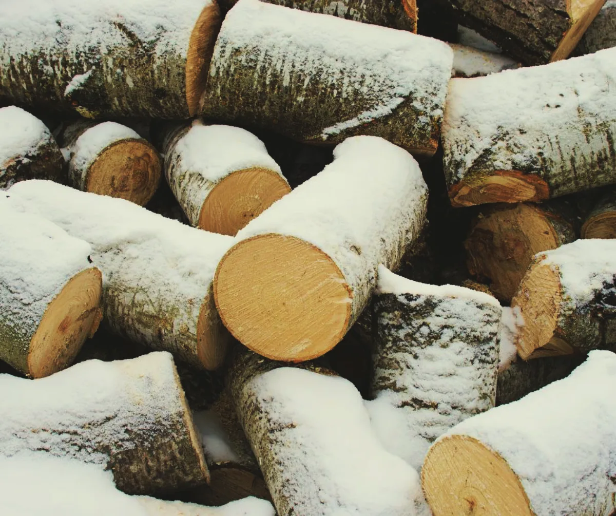 comment faire sécher le bois de chauffage rapidement astuces stockage de bois