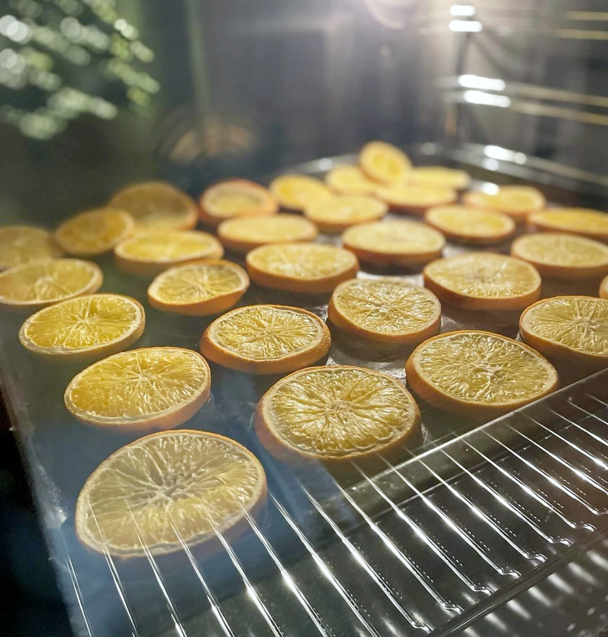 comment secher des oranges au micro onde