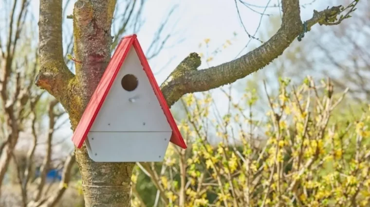 faire nicher les oiseaux dans votre jardin nichoir qutoit rouge