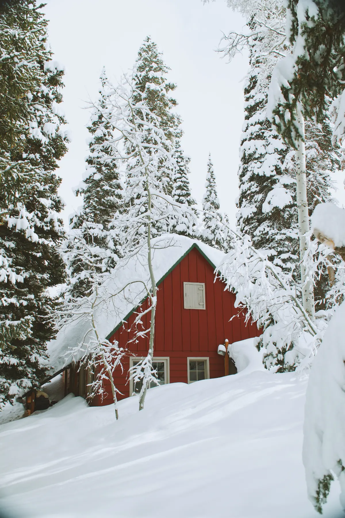 image paysage d hiver maison avec de la neige sapins autour
