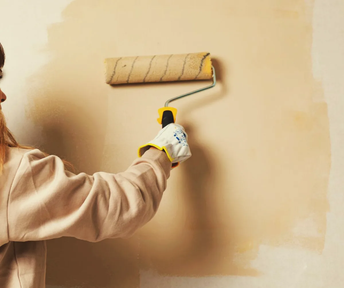 les meilleures idées de peinture anti moisissure thetmique pour votre logement
