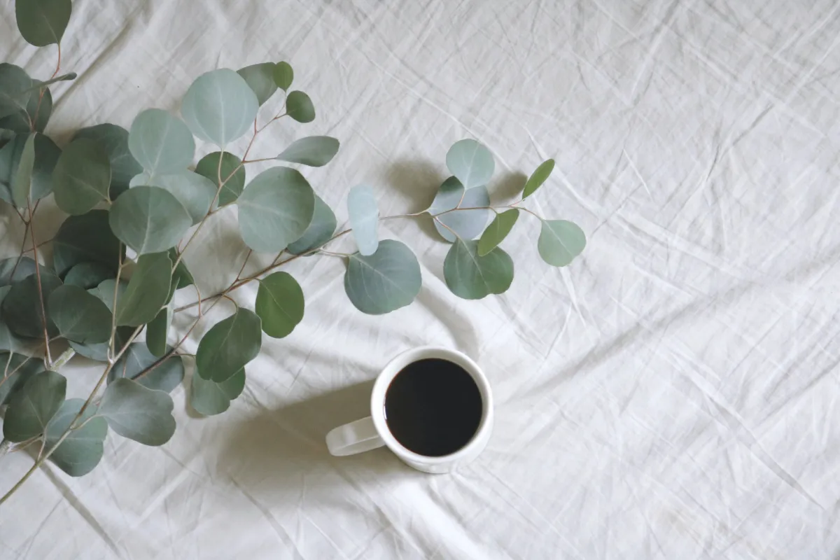 linge de lit draps blancs tasse cafe branches d eucalyptus lit cocooning