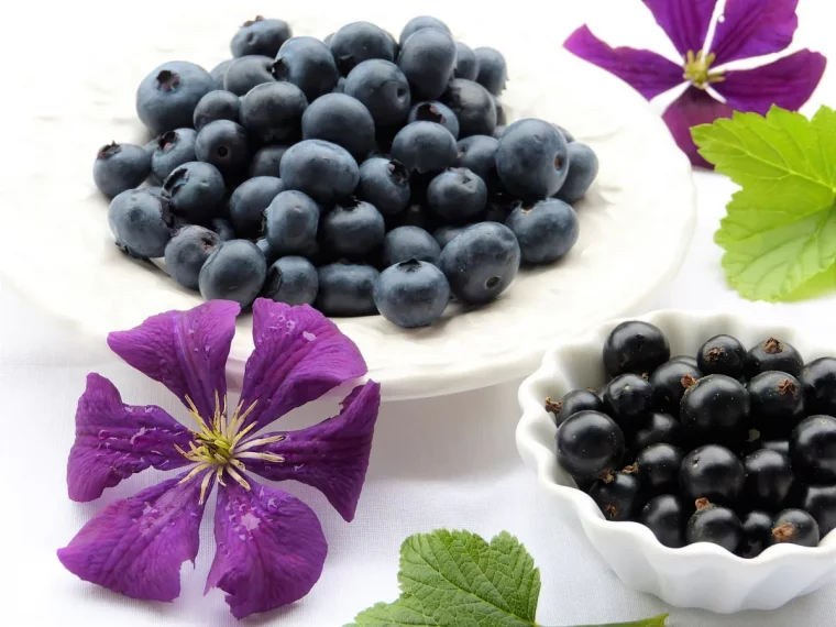 manger des fruits rouges pour etre en bonne sante