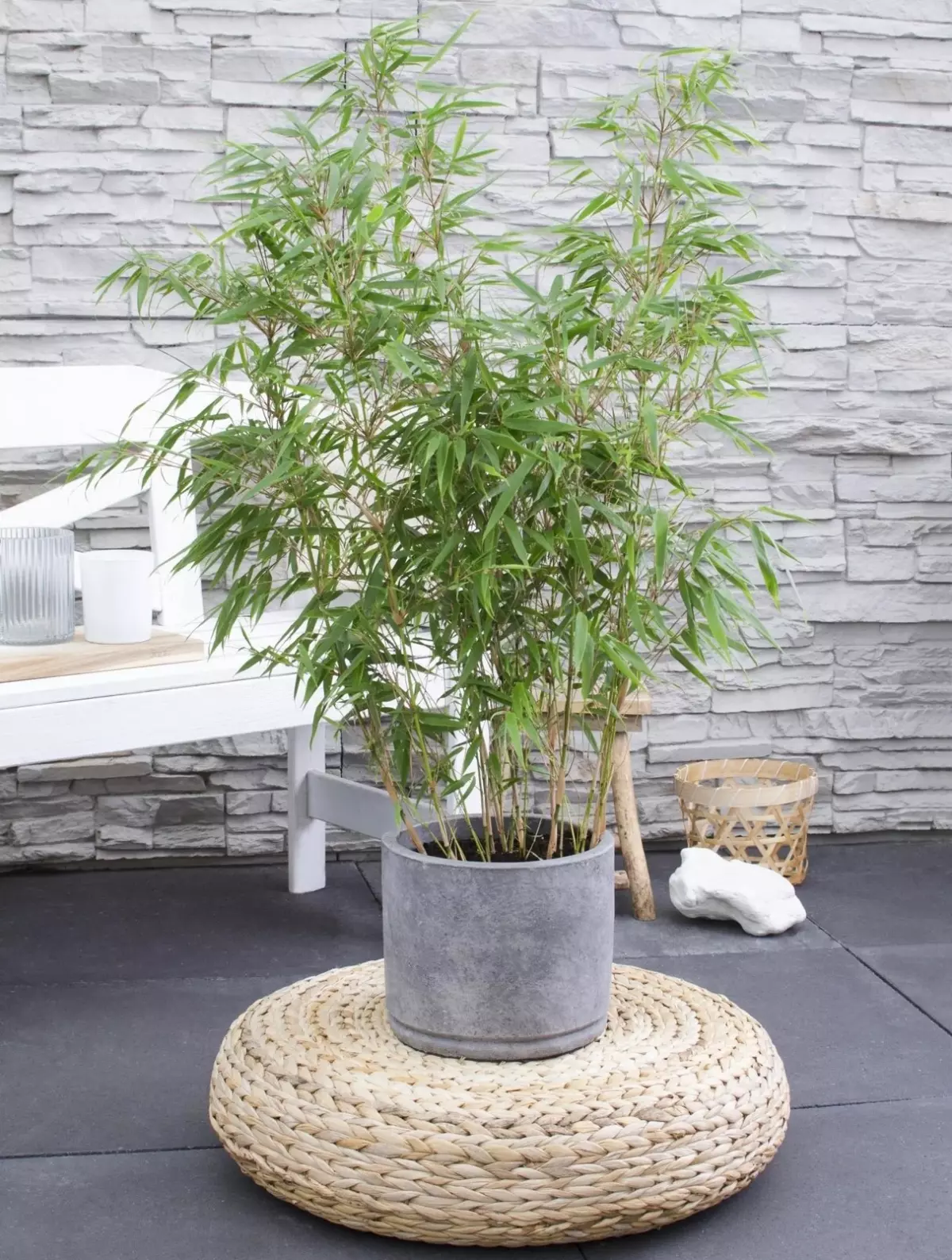 pot avec du bamboo sur un coussin en lianes traissees