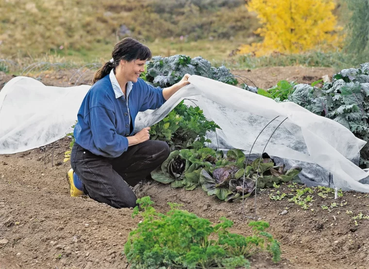 quels legumes d hiver faut il proteger