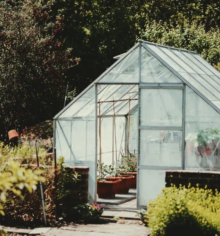 rentrer ses plantes dans une serre de jardin pour les proteger du froid