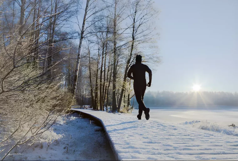 silhouette masculine de dos habillee en noir dans un paysage hivernal