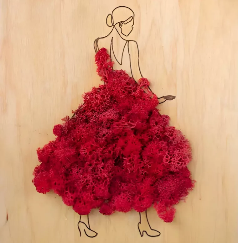 tableau en bois avec une gravure de danseuse et remplissage en mousse irlandaise rouge
