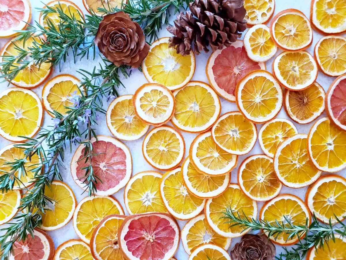 tranches d orange et de pamplemousse sechees decoration de noel