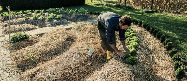 comment démarrer un jardin en permaculture potager paille