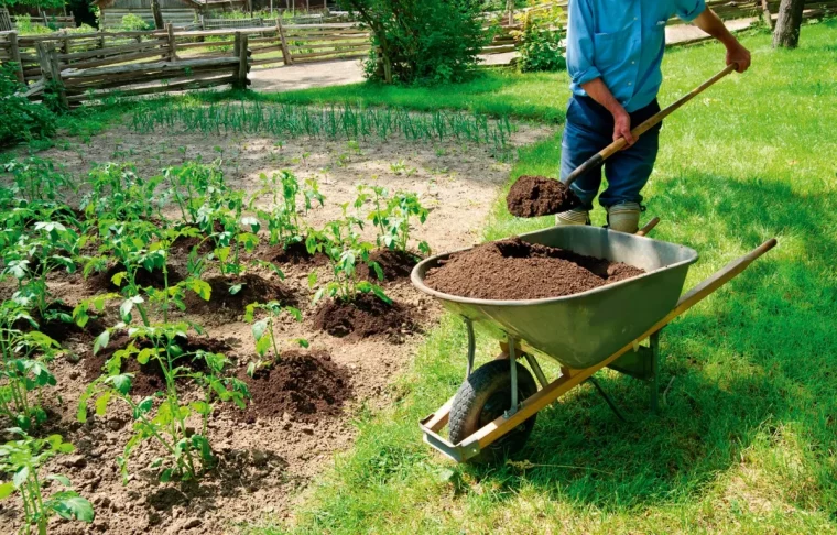 est ce que l'urine est un activateur de compost