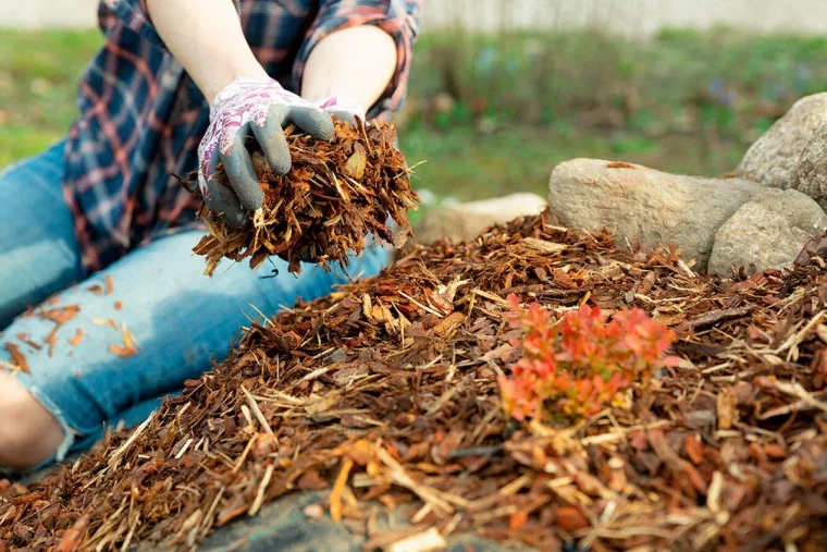 quel est le but de la permaculture deuxmains deposent feuilles mortes