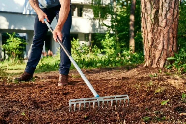 qu'est ce que ça veut dire permaculture grelinette