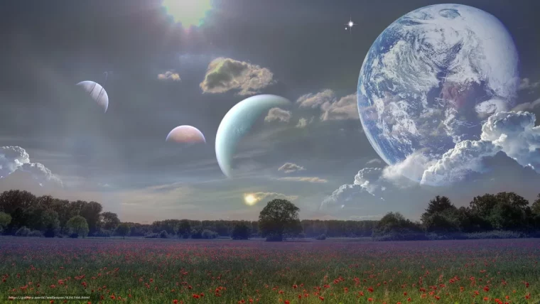 qu'est ce que la biodynamie pleine lune arbre enfleurs