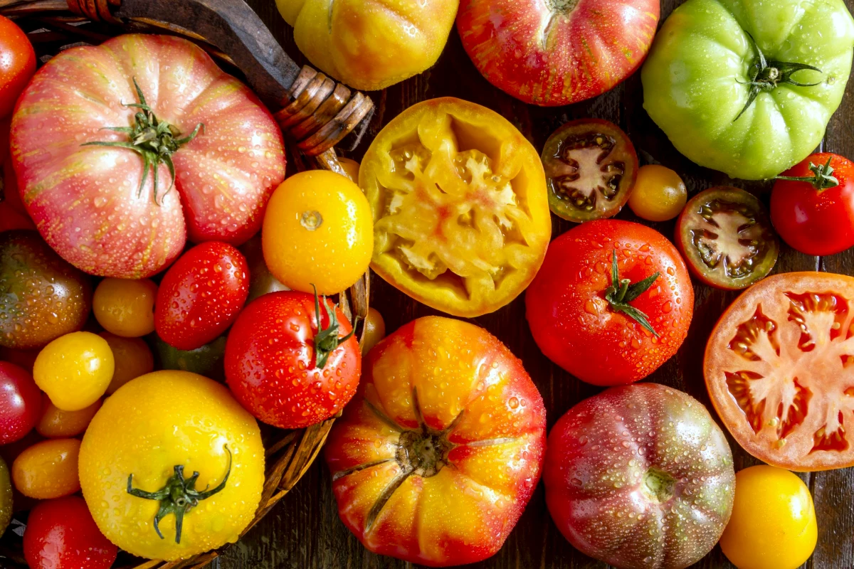 aliments qui rendent beaux tomates rouges er jaunes