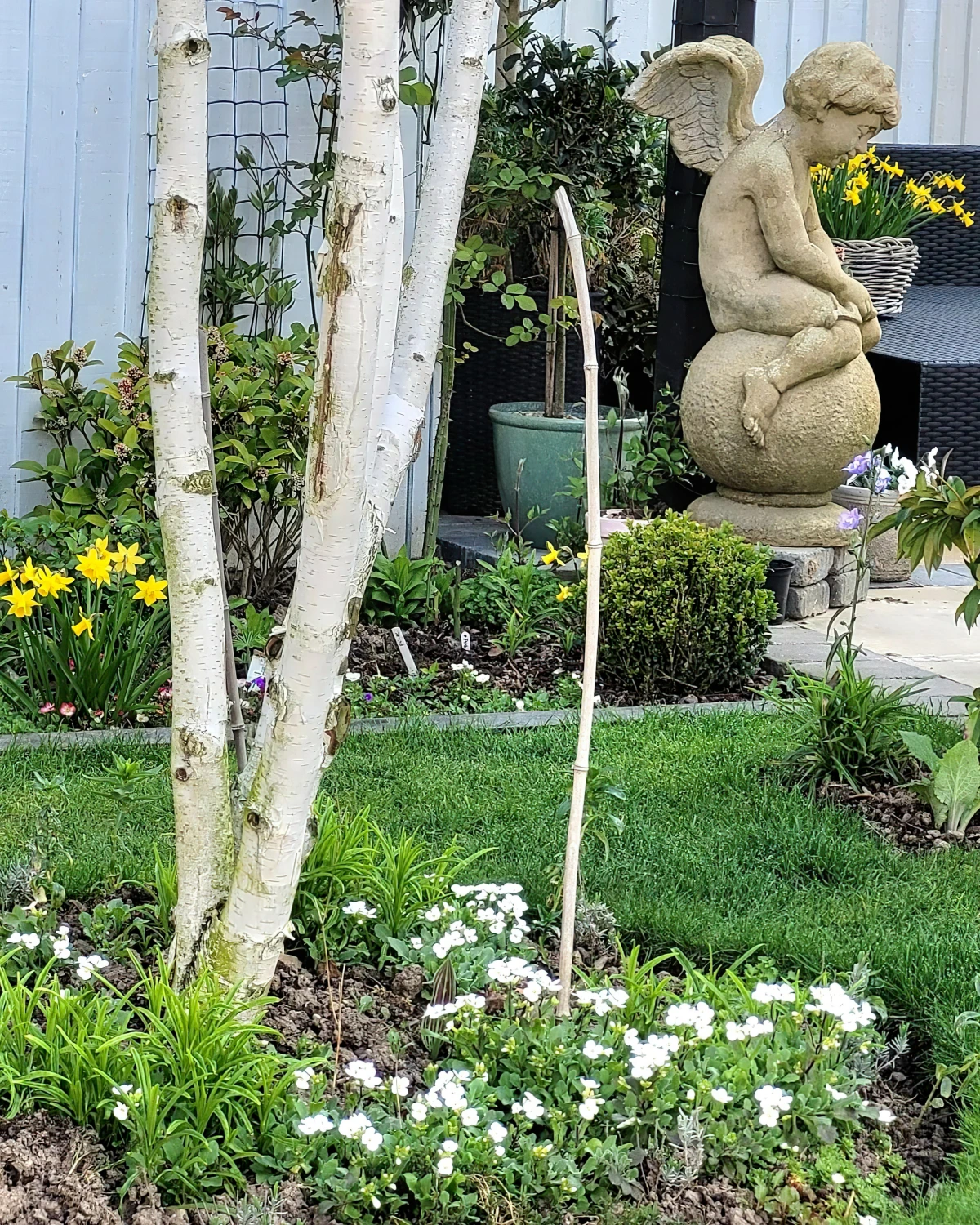 amenagement paysager petit jardin devant maison statue arbre etroit